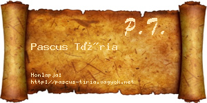 Pascus Tíria névjegykártya